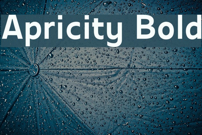 Apricity перевод