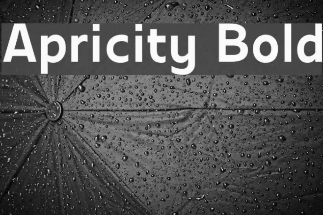Apricity Bold Example 3