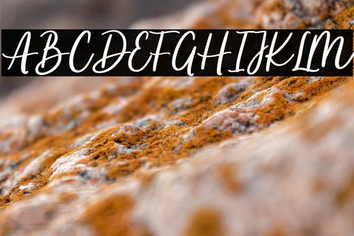 Apricotsy Demo Example 1