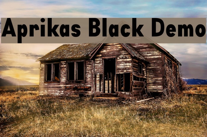 Aprikas Black Demo Font examples