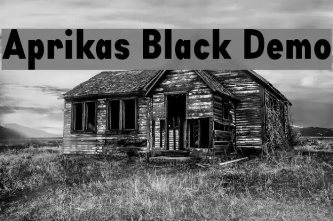 Aprikas Black Demo Example 2