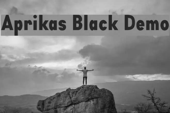 Aprikas Black Demo Example 3