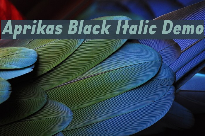 Aprikas Black Italic Demo Font examples