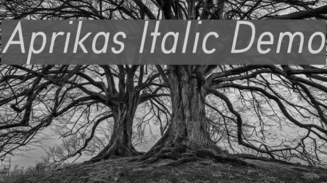 Aprikas Italic Demo Font examples