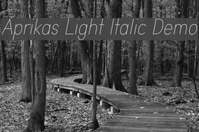 Aprikas Light Italic Demo 字体 examples