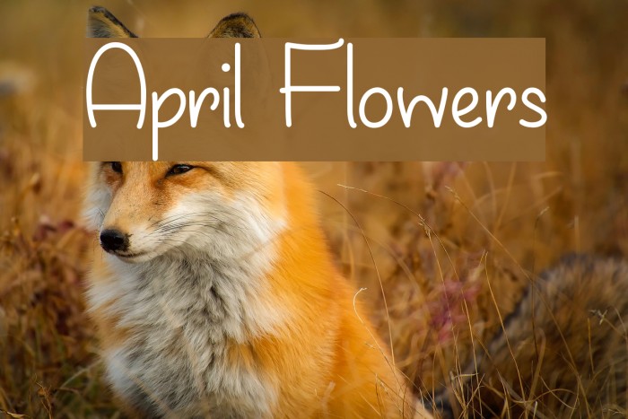 April Flowers フォント examples