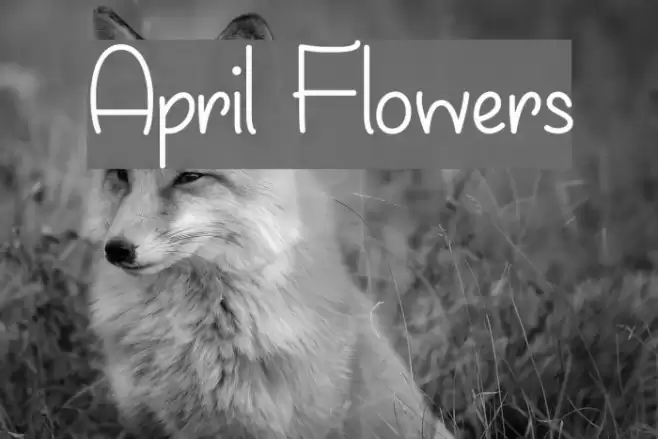 April Flowers フォント examples