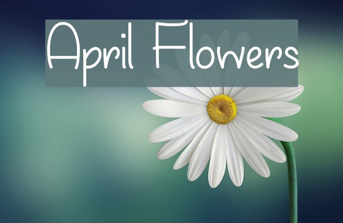 April Flowers フォント examples