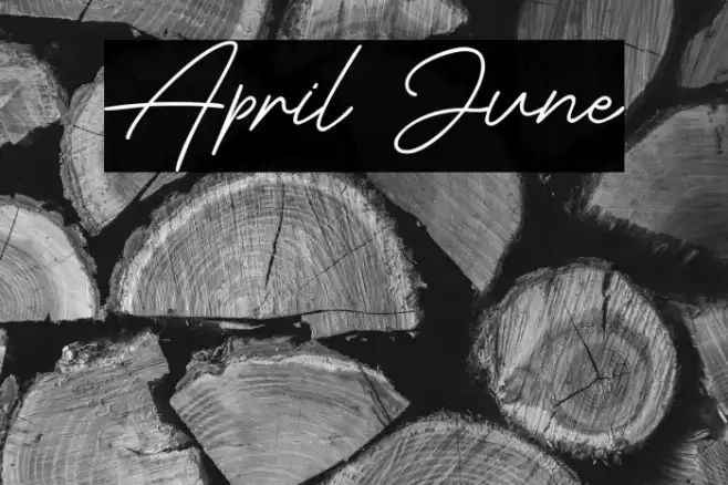 April June Шрифта examples
