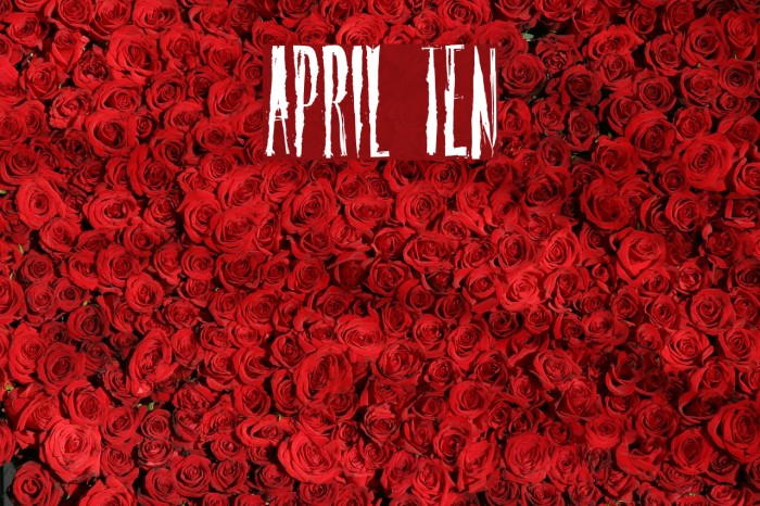 April Ten Font examples