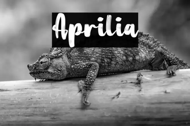 Aprilia Font examples