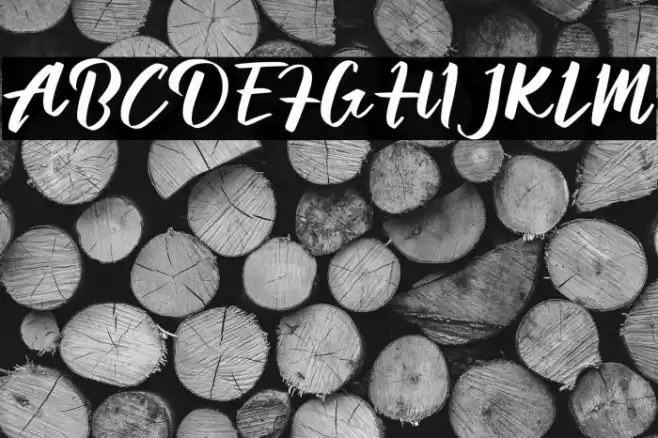 Aprillia Wijaya Demo Version Font examples