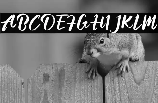 Aprillia Wijaya Demo Version Font examples