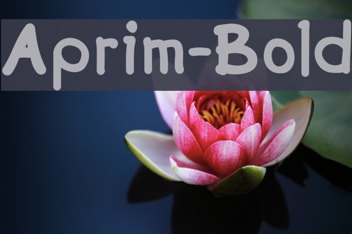 Aprim-Bold Example 1