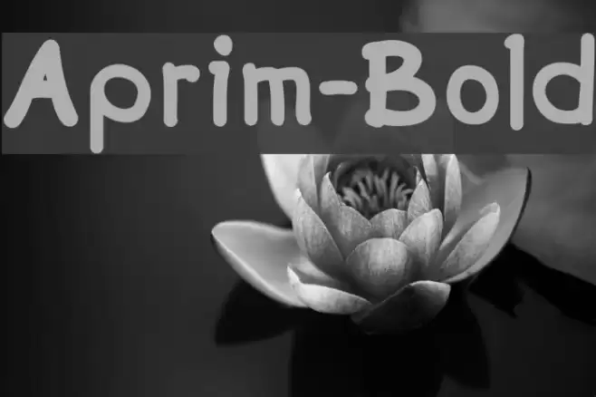 Aprim-Bold Font examples