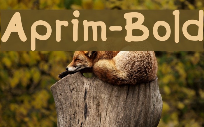 Aprim-Bold Example 2