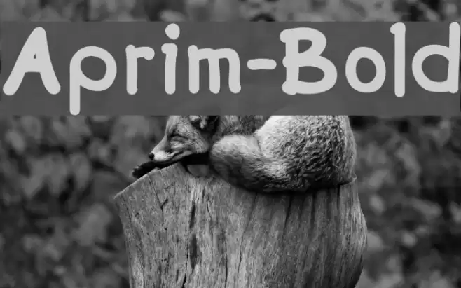 Aprim-Bold Font examples