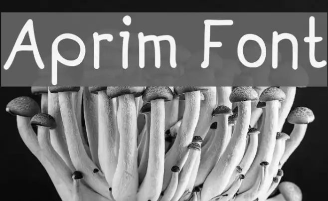 Aprim Example 1