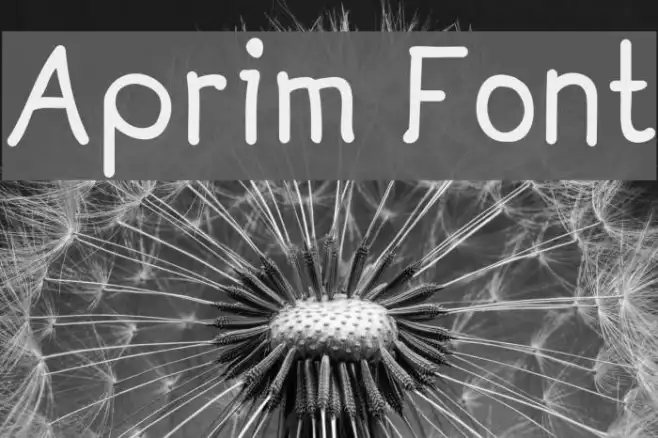 Aprim Example 2