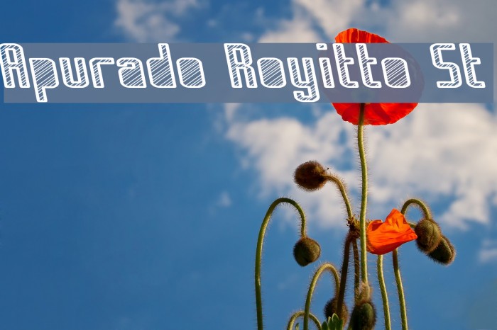 Apurado Royitto St Font examples