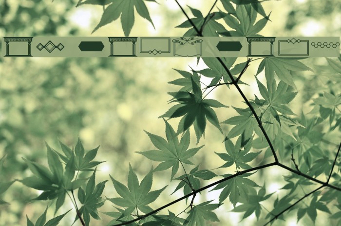 ap fancy frames Example 3