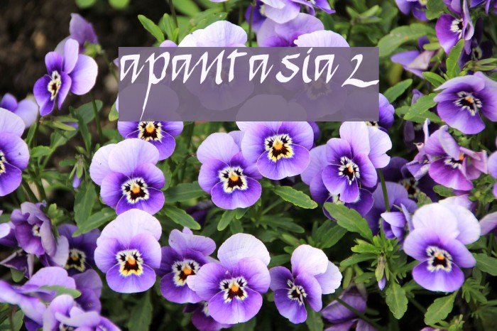apantasia2 Font examples