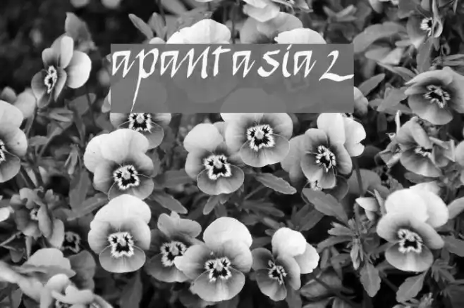 apantasia2 Example 3