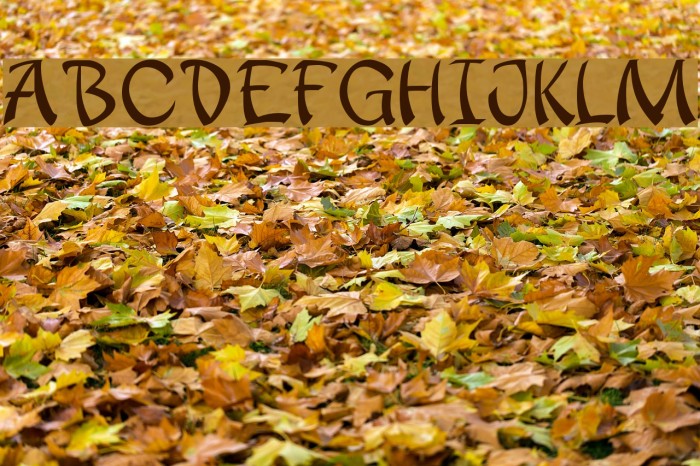 apantasia Font examples