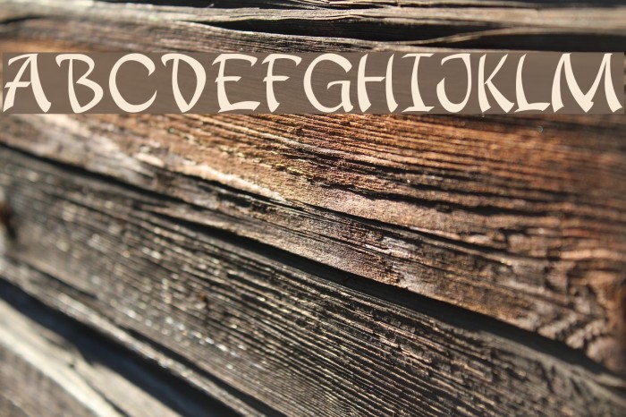 apantasia Font examples