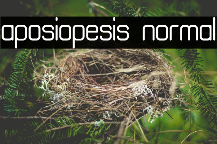 aposiopesis normal Example 2
