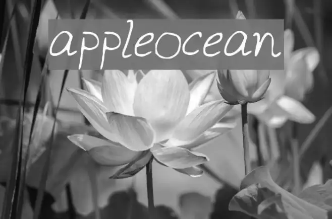 appleocean Example 1