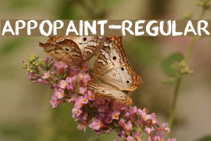 appopaint-Regular Font examples
