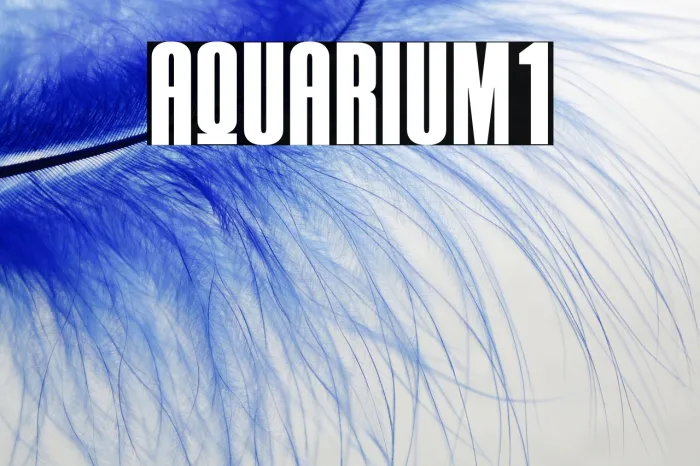 AQUARIUM1 Example 1