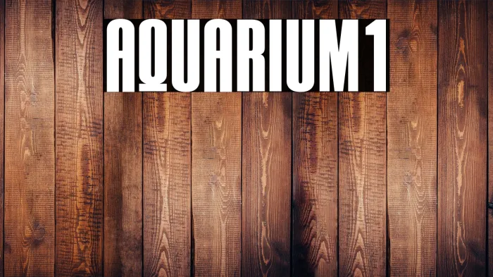 AQUARIUM1 Example 2