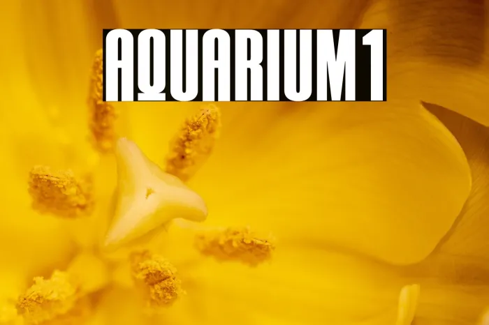 AQUARIUM1 Example 3