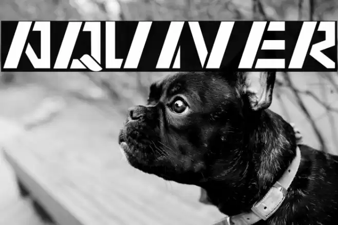 AQUIVER Font examples