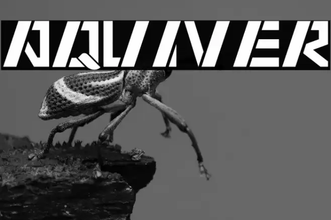 AQUIVER Font examples