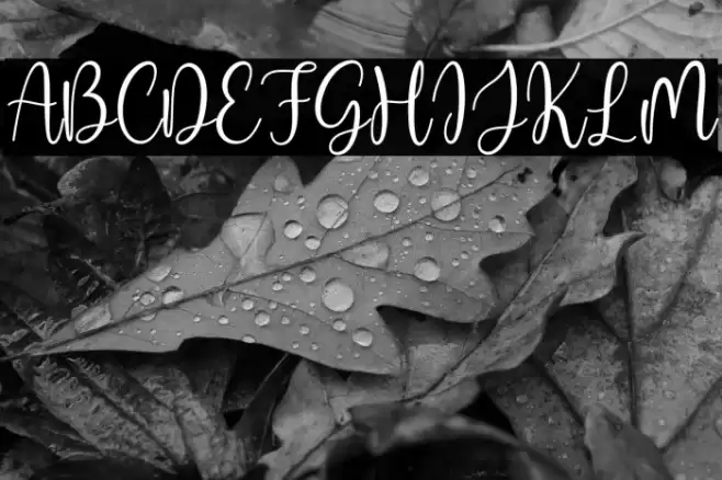 Aqeela Font examples