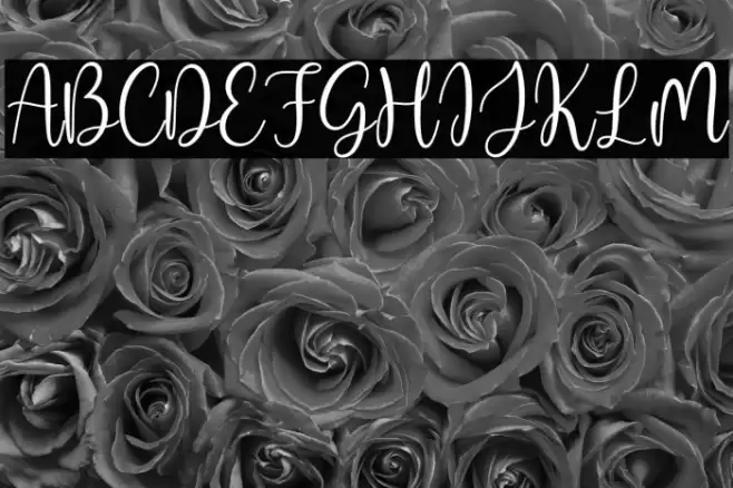 Aqeela Font examples