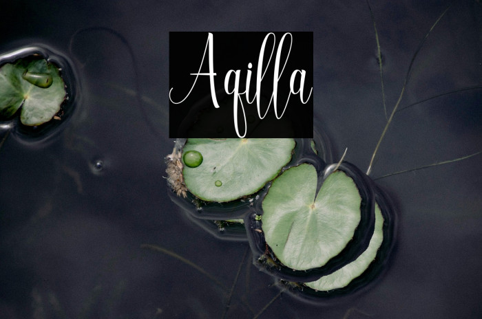 Aqilla Example 2