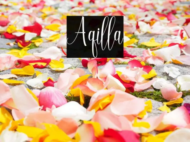 Aqilla Example 3