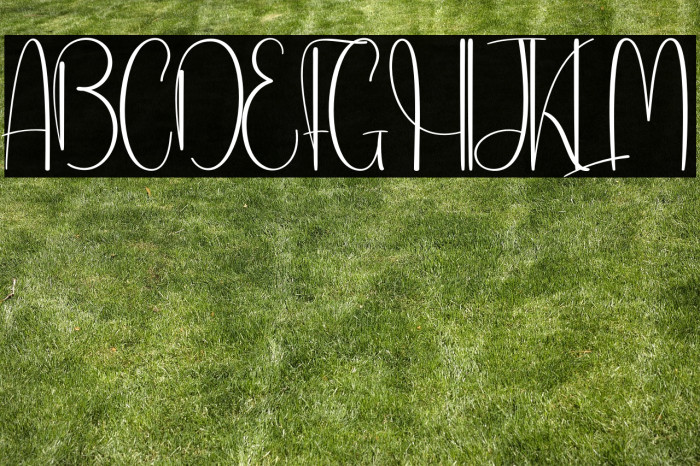 Aqua Fresh Example 2