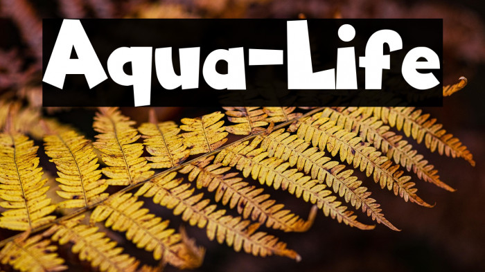 Aqua-Life Example 1