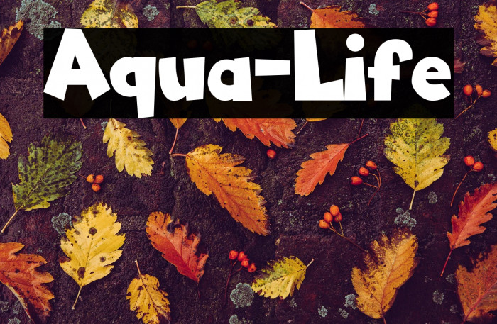 Aqua-Life Example 2