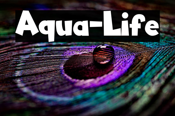Aqua-Life Example 3