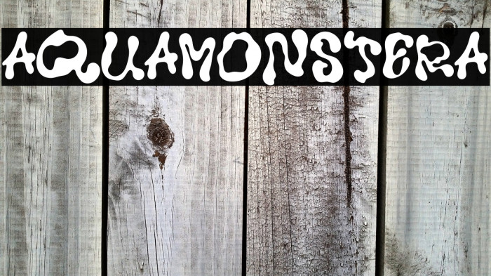 Aqua Monstera Example 2