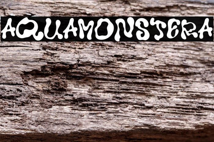 Aqua Monstera Example 3