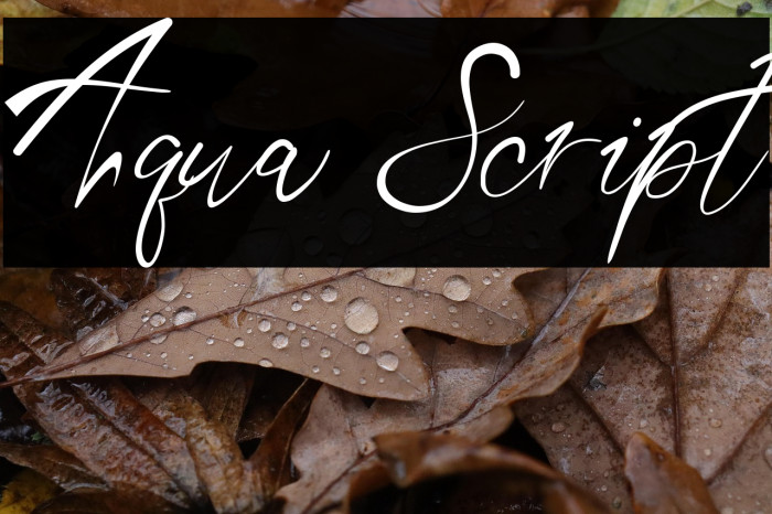 Aqua Script Example 2