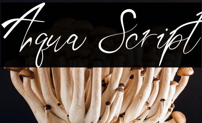 Aqua Script Example 3