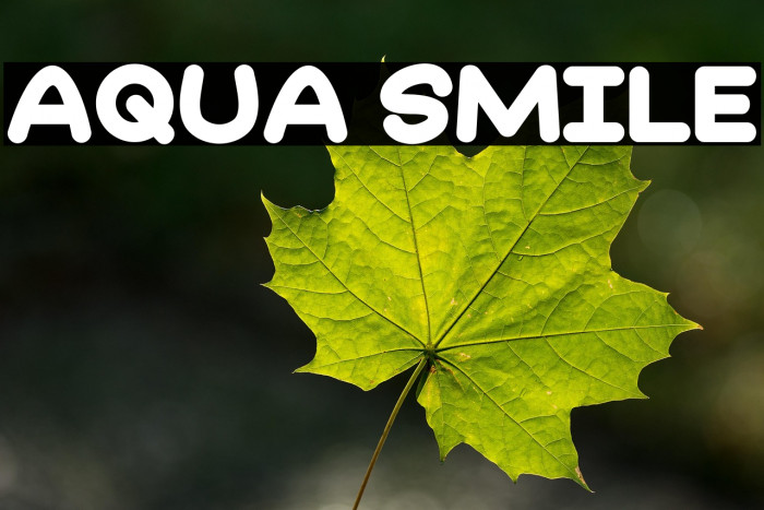 Aqua Smile Example 1